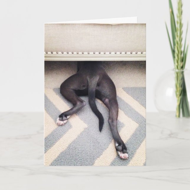 Eu sou cartão pesaroso (Frente)