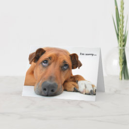 Eu sou cartão pesaroso do cão