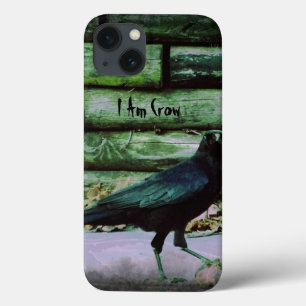 Eu sou corvo - caixa verde do iPad