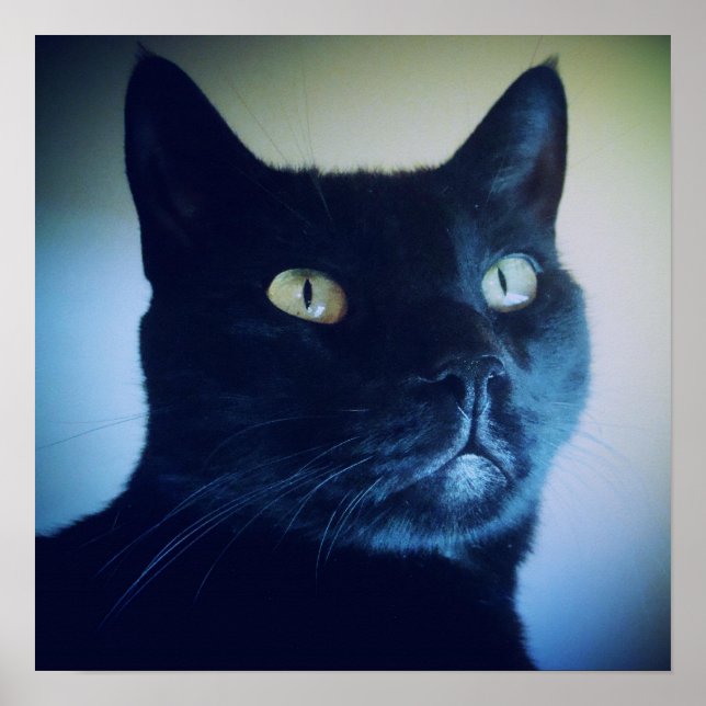 Eu Sou Impressão De Gato (Frente)