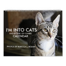 Eu sou no calendário dos gatos e dos gatinhos