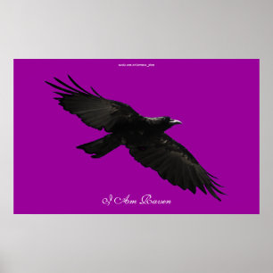 EU SOU poster preto de voo da arte do corvo do