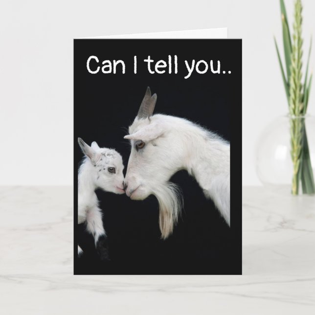 EU SOU TÃO **SAD** E ASSIM **SORRY** CARTÃO (Frente)