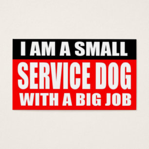 Eu sou um cão pequeno do serviço com um trabalho