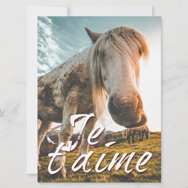 Eu te amo com cavalo olhado (Frente)