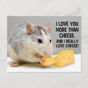 Eu Te Amo Mais Que Queijo Pet Rato Cartão Postal