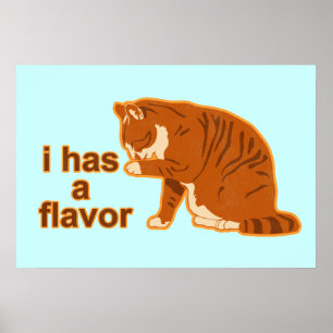 Eu tenho um sabor, Lol Cat Poster