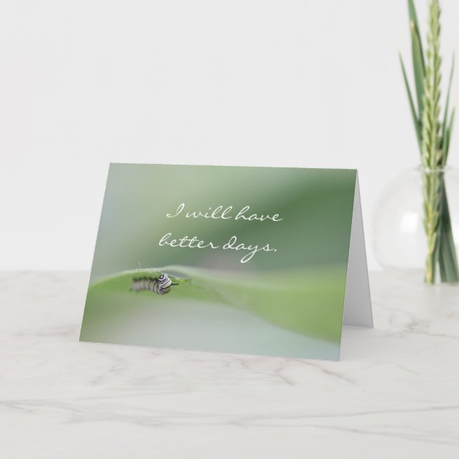 Eu terei o melhor cartão dos dias (Frente)