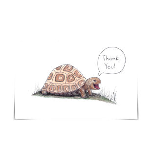 "Eu Turtley Aprecio" Cartões de agradecimentos de 