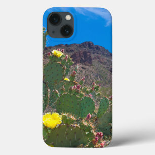 EUA, Arizona. Cacto Nas Colinas