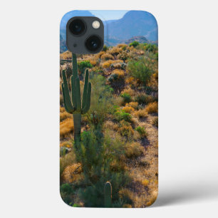 EUA, Arizona. Exibição de Deserto