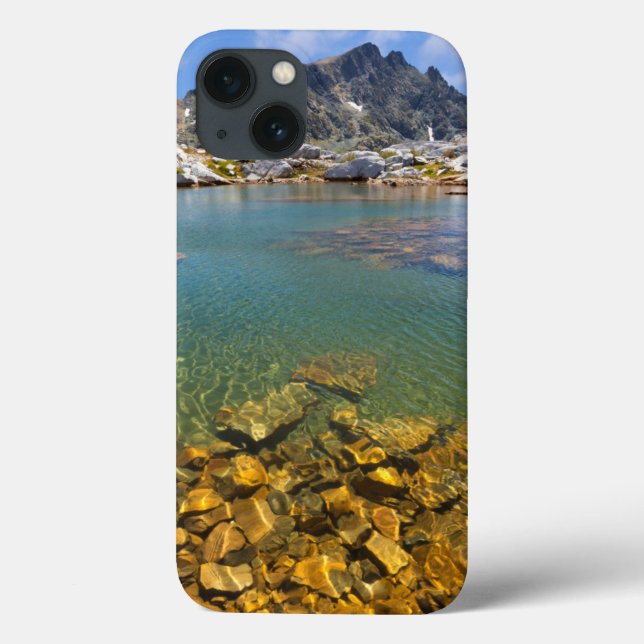 EUA, Califórnia, Floresta Nacional Inyo 8 (Verso)