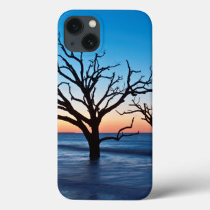 EUA, Carolina do Sul, Edisto Island, Botany Bay