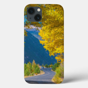 EUA, Colorado. Estrada Em Aberto Por Aspens