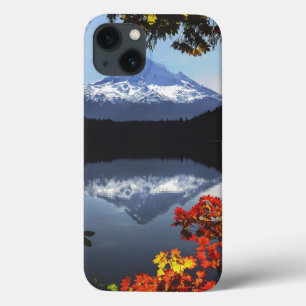 EUA, Oregon, Floresta Nacional de Mt. Hood.