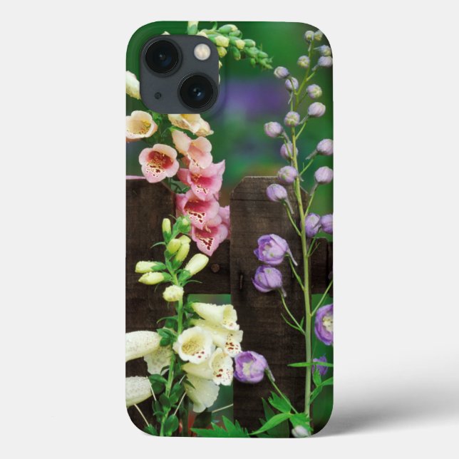 EUA, Pensilvânia. Foxglove e delfinium (Verso)