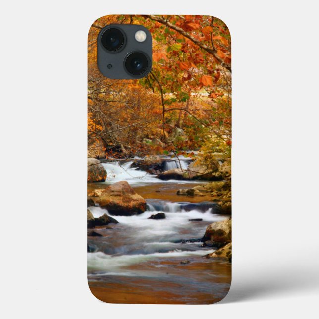 EUA, Tennessee. Rushing Mountain Creek (Verso)