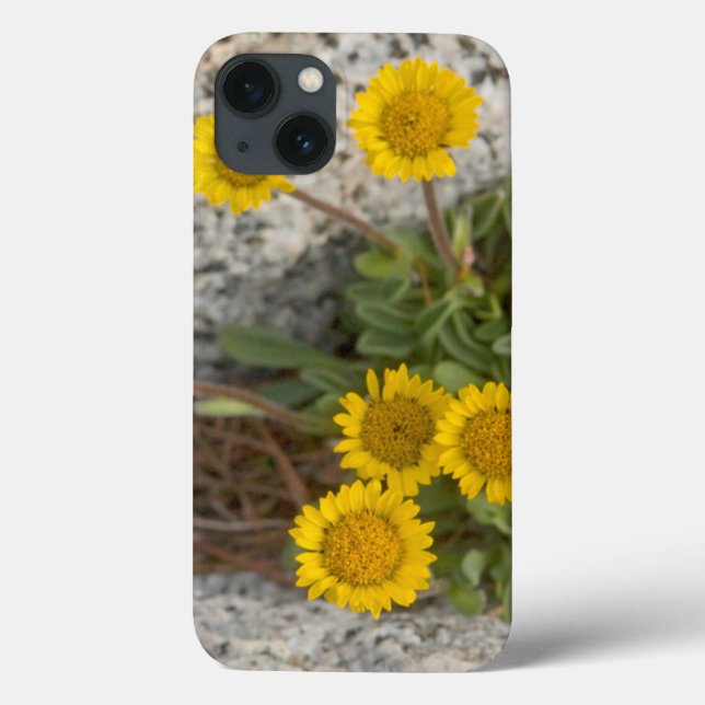 EUA, Washington, Cascade Range 5 (Verso)