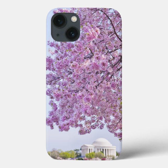EUA, Washington DC, árvore de cereja na flor (Verso)