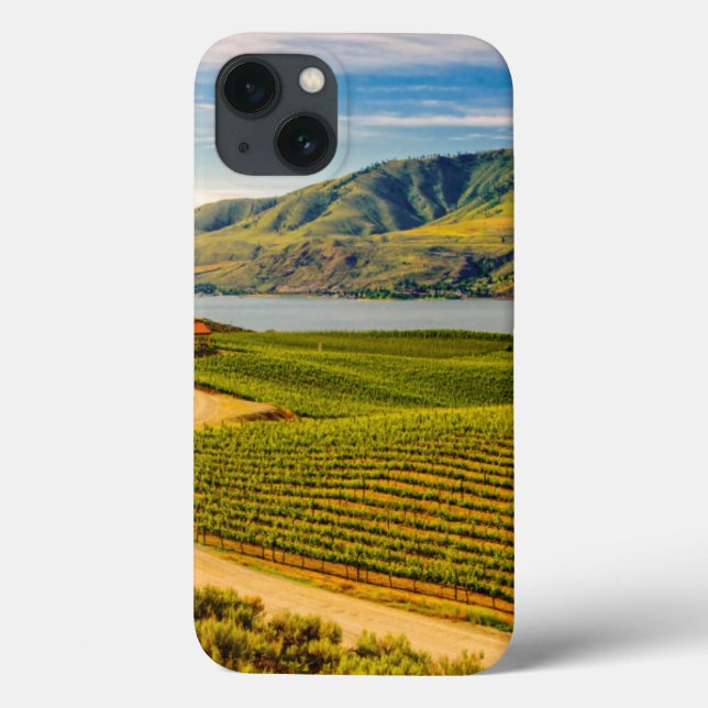 EUA, Washington, Lago Chelan. Vineyards Benson (Verso)