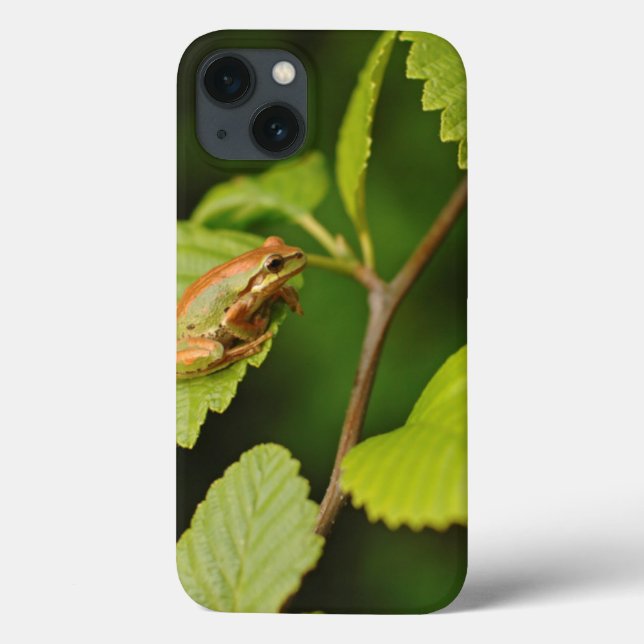 EUA, Washington, Seattle, Discovery Park (Verso)
