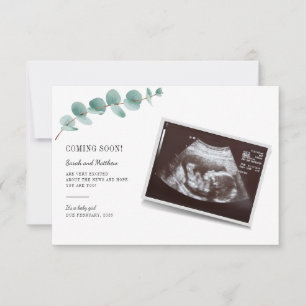 Eucalipto Gravidez Anúncio Menina Revelação de 