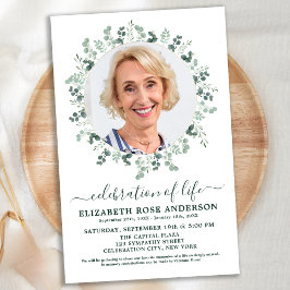 Eucalyptus Foto Comemoração Do Life Conite