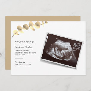 Eucalyptus Gravidez Anúncio Revolução do Bebê