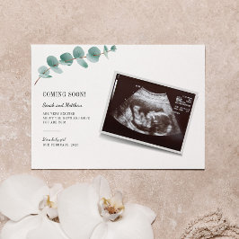 Eucalyptus Gravidez Anúncio Revolução do Bebê