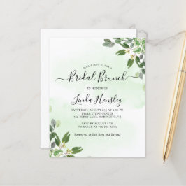 Eucalyptus Greenerent