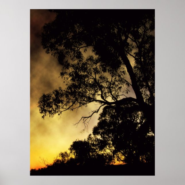 Eveningscapes Poster (Frente)