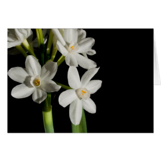 Evento De Primavera De Flor Branco E Cartão De Cas