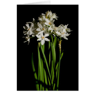 Evento De Primavera De Flor Branco E Cartão De Cas