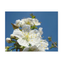 Evento de promoção do serviço de cartões postais C