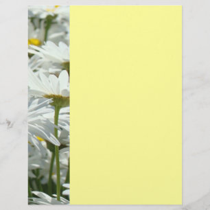 Eventos de Verão Panfletos Festas Margaridas Flora