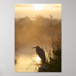 Everglades Excelente Blue Heron Poster