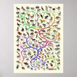 Evolução - Árvore da Vida - Poster