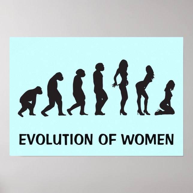 Evolução da Mulher Engraçada Poster (Frente)