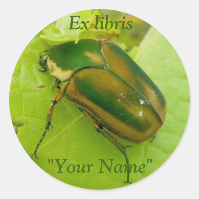 Ex-líbris Green June Beetle Stickers (Frente)