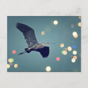 Excelente Azul Heron No Cartão Postal De Voo