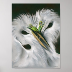 Excelente Egrets in Love Poster