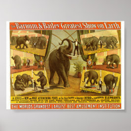 Executando Elefantes Barnum & Bailey Circus Poster