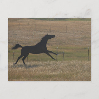 Executar com o cartão postal do vento