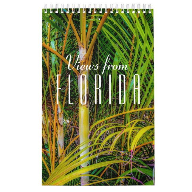 Exibições do Calendário da Flórida (Capa)