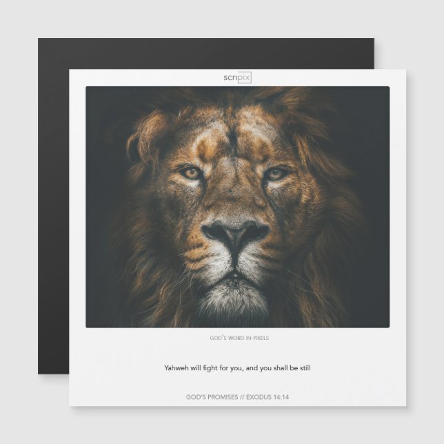 Êxodo - Cartão magnético SCRIPIX PROMISES 14:14 GO (Frente/Verso)