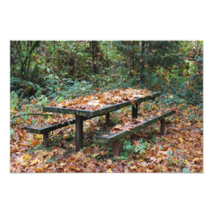 Expansão de Foto do Picnic Bench 19" x 13"