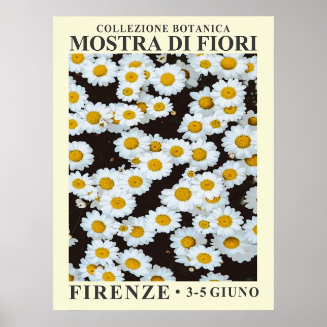 Exposição Floral N.o 5 Poster (Frente)