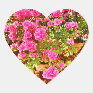 Extravaganza a rosa, adesivos cardíacos, brilhante