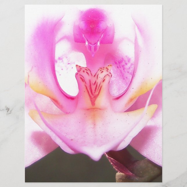extrema proximidade do dentro de uma flor de orquí (Frente)