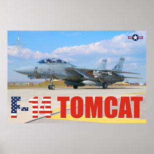 F-14 POSTER DE "PREVOO" TOMCAT